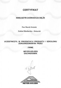 Meyer-Holsen