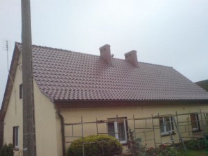DSC01987